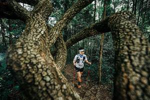 BIB: 
                            <button type="button" onclick="openModal(25393969)" class="btn btn-primary btn-sm float-right btn-popup" data-toggle="modal" data-target=".modal-high-quality">
                        <i class="fas fa-shopping-cart"></i> Add to Cart
                    </button>
                                            <button type="button" onclick="isThisMe(25393969, true)" class="btn btn-success btn-sm float-right btn-popup btn-isme hidden" data-toggle="tooltip" data-placement="bottom" title="นี่คือรูปของคุณใช่ไหม คลิกที่นี่เพื่อเอาเข้าอัลบั้ม">
                        <i class="fas fa-plus"></i> Add to album
                    </button>
                    <button type="button" onclick="isThisMe(25393969, false)" class="btn btn-warning btn-sm float-right btn-popup btn-isnotme hidden">
                        <i class="fas fa-ban"></i> Remove from album
                    </button>